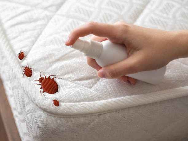 Best Bed Bug Extermination  in Athens, TX